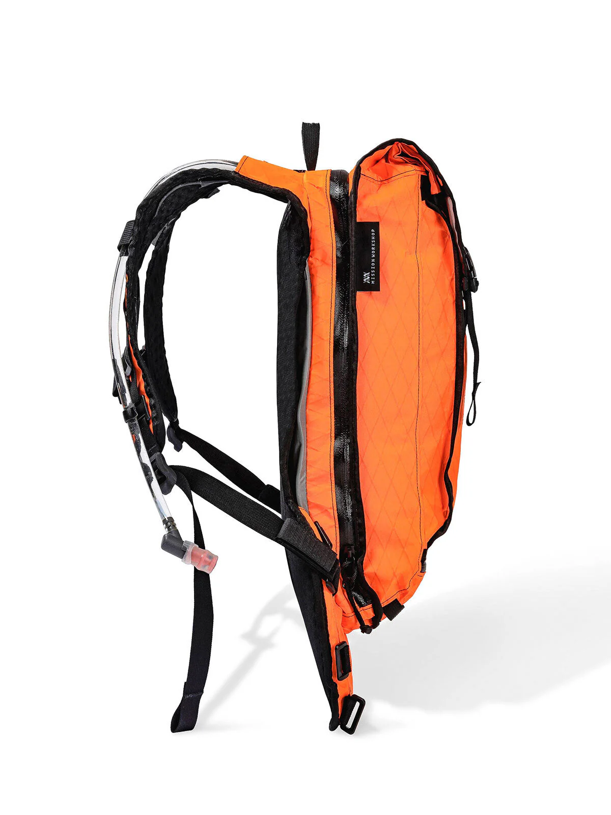 Hauser 10L - Image 4