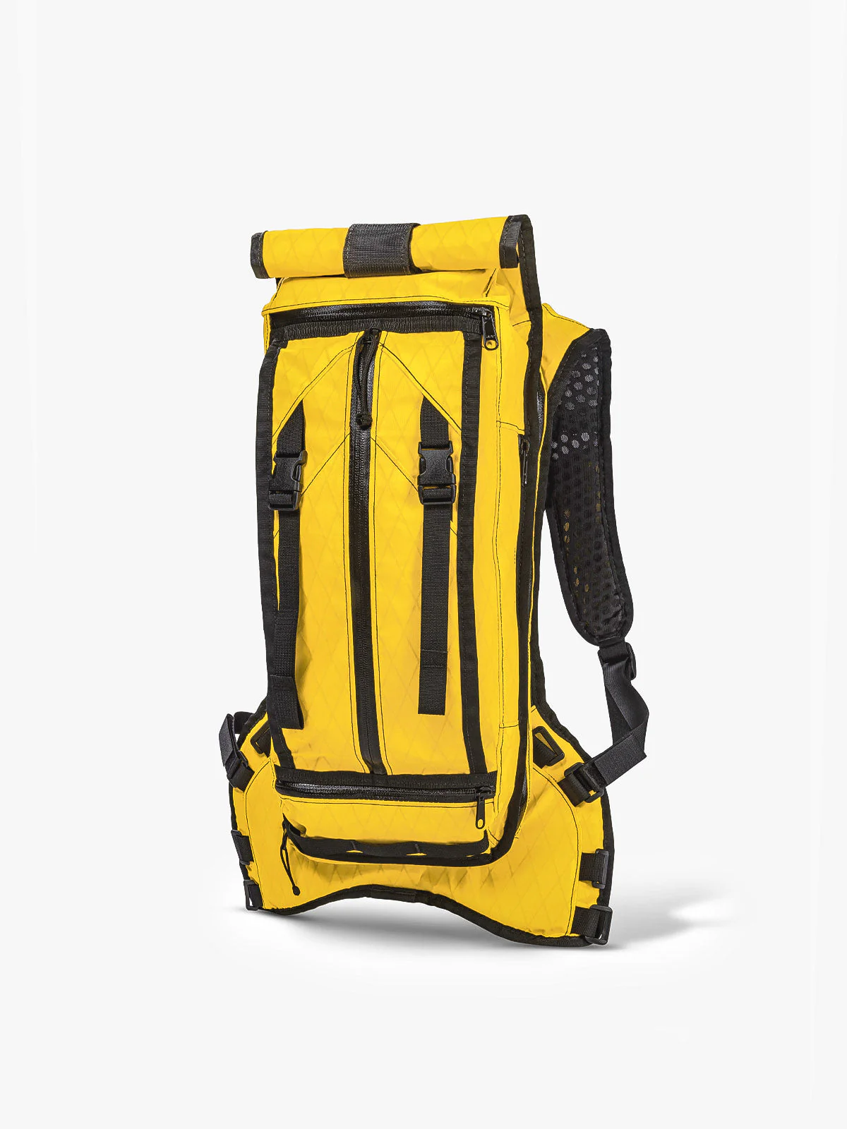 Hauser 10L - Image 6