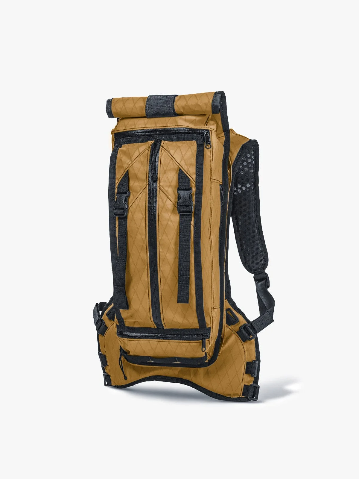Hauser 10L - Image 8